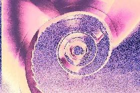 The Spiral of hate...