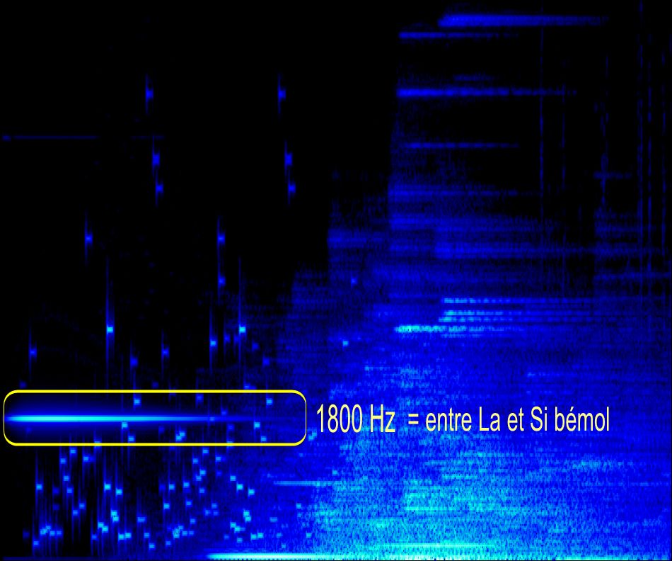 Premier élement de la pédale 5