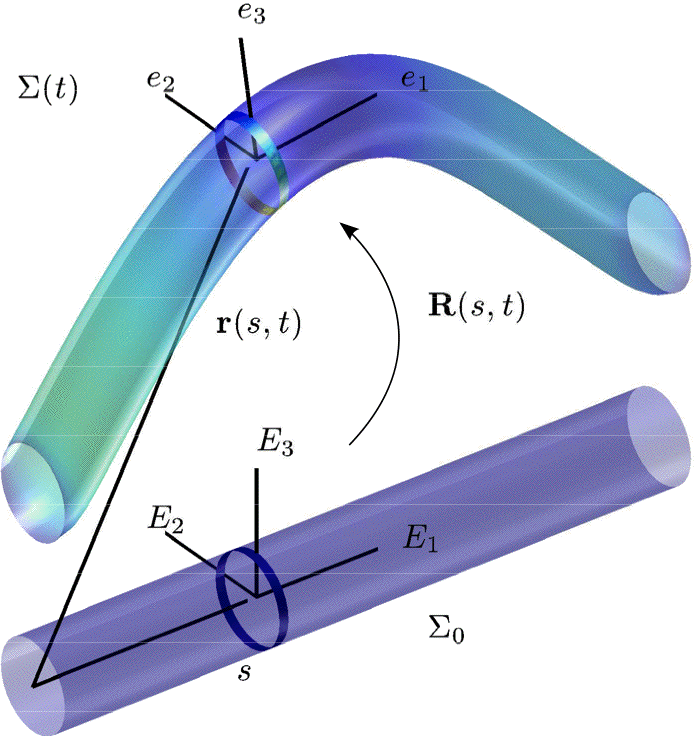 Reisner beam